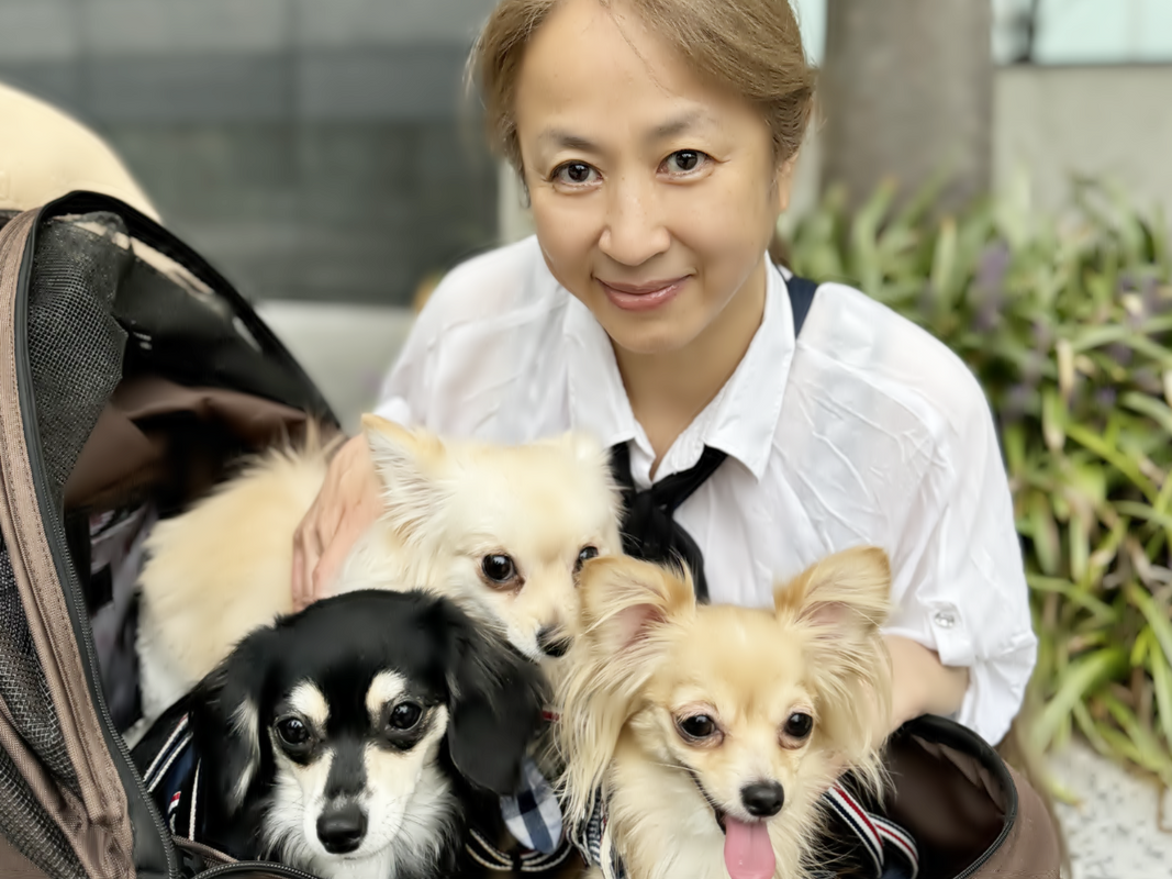 アレルギー検査が陰性でも症状が続く理由｜犬猫の食物不耐性と食事選び