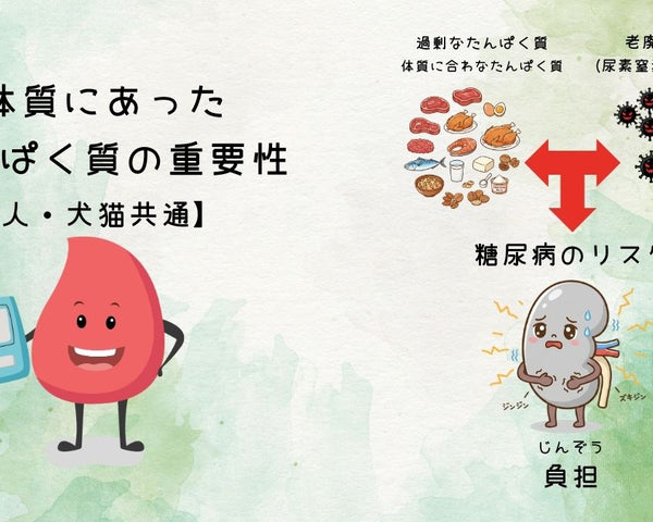 不耐性検査が糖尿病の血糖コントロールをサポートする可能性（人・犬猫向け）