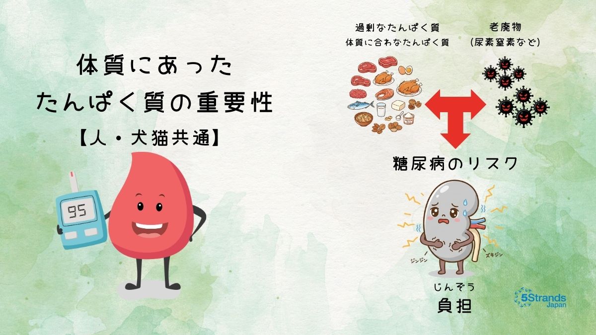 不耐性検査が糖尿病の血糖コントロールをサポートする可能性（人・犬猫向け）