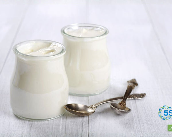 【腸活の疑問】「ヨーグルト」で逆効果に？あなたの愛犬が避けるべき特定の菌種とは