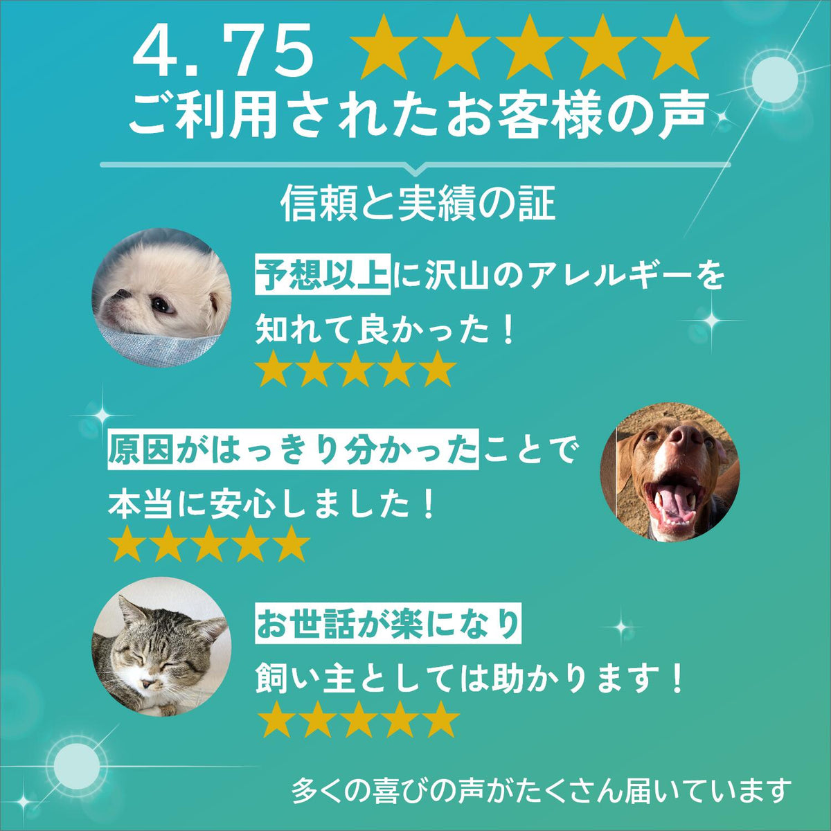 【犬猫用】アレミッケ / 不耐性検査430項目＋