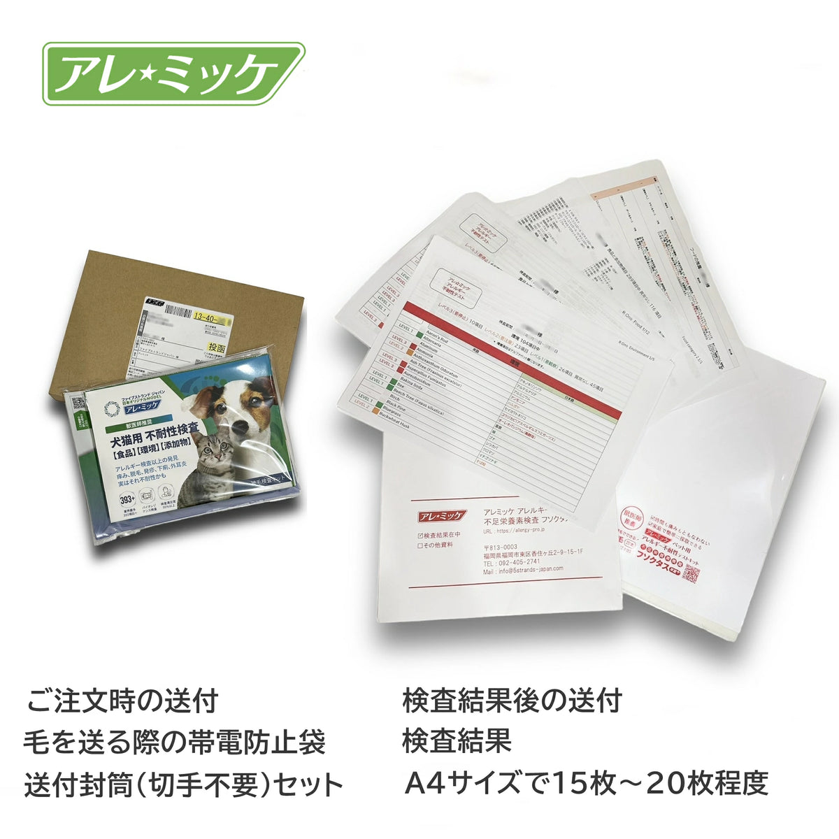 【犬猫用】アレミッケ / 不耐性検査430項目＋