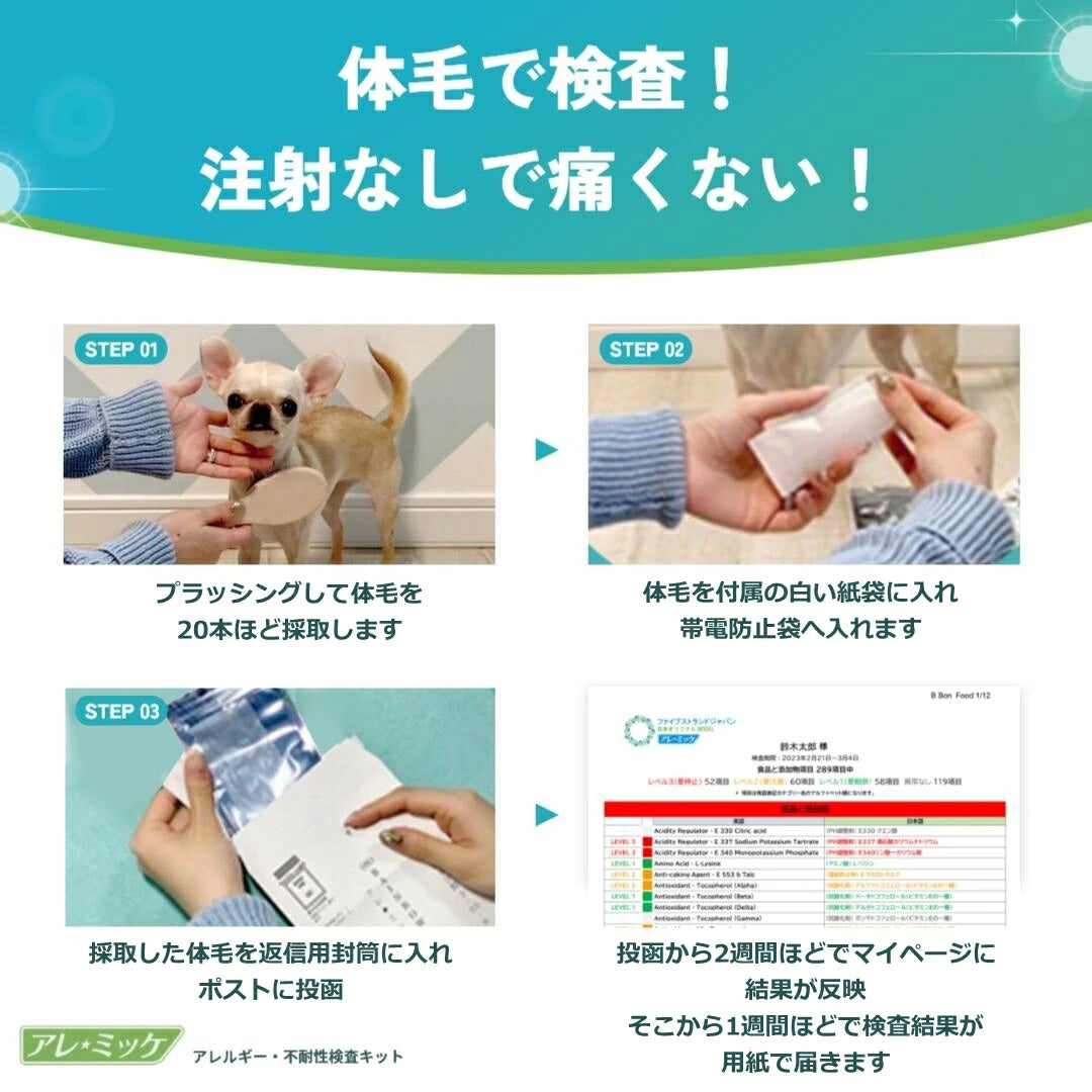 【犬猫用】アレミッケ / 不耐性検査430項目＋